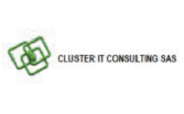 Cluster IT Cosulting